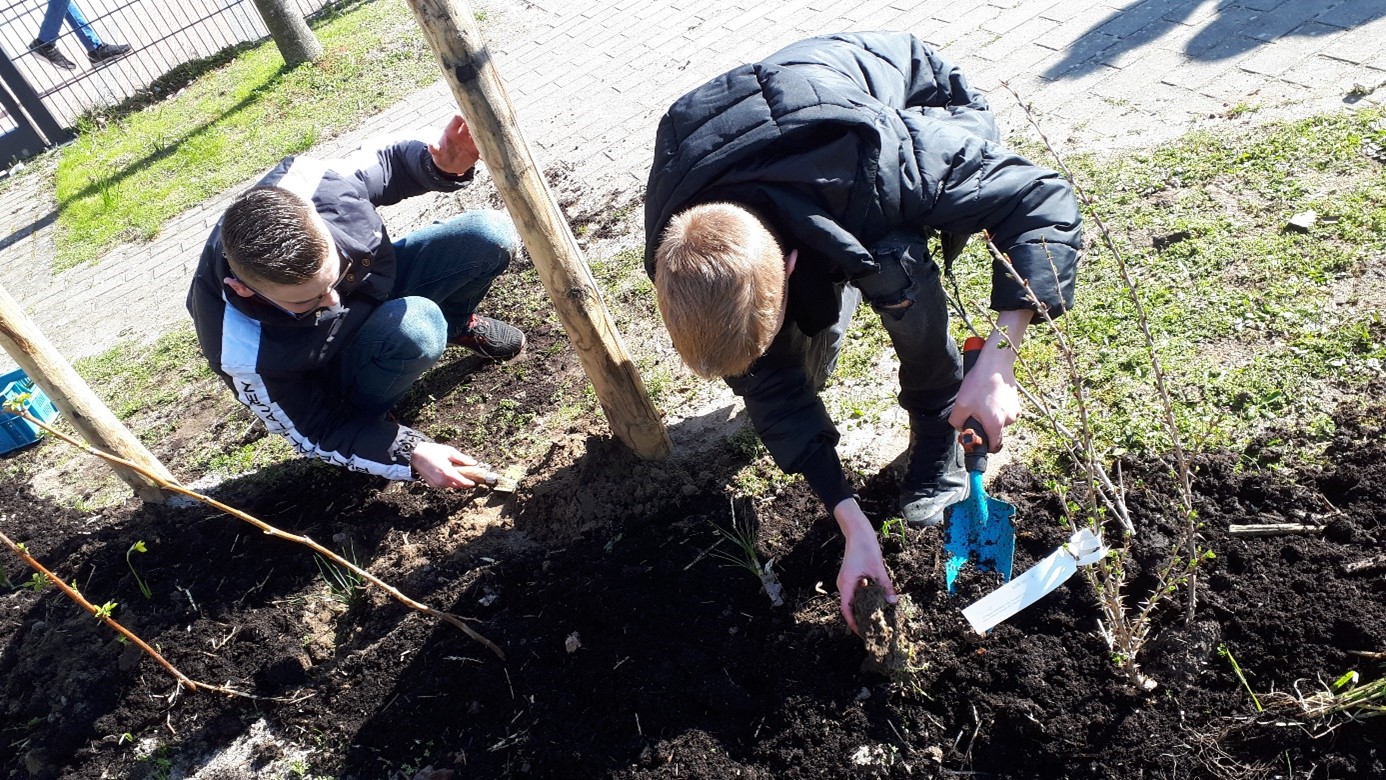 Buitenlesdag op SO De Linde: aan de slag met een snoephaag en moestuinbak!
